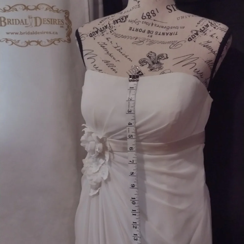 Wedding Dress - Picture 5 of 14